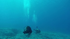 Diving in Lanzarote           